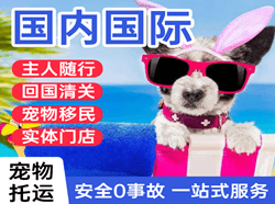 巴彦淖尔机场快递国际宠物托运 【国